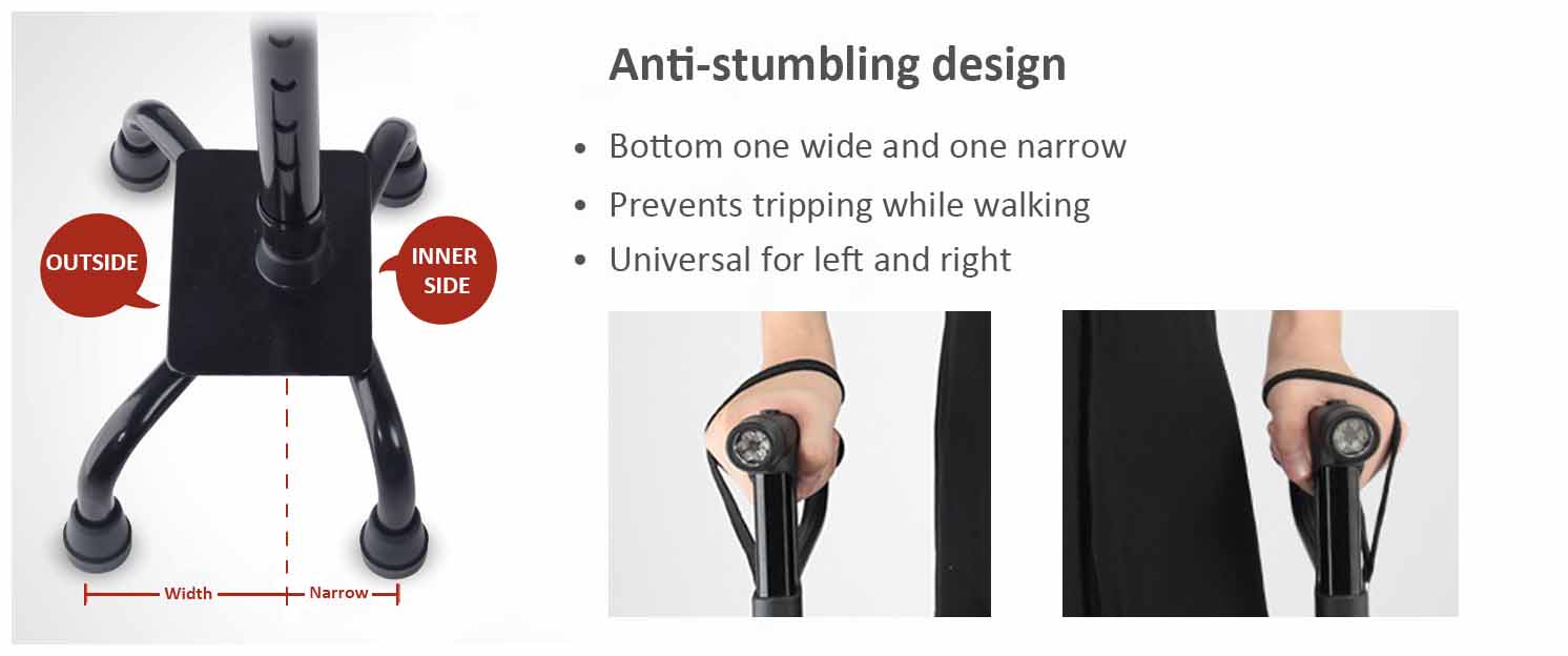 a walking stick